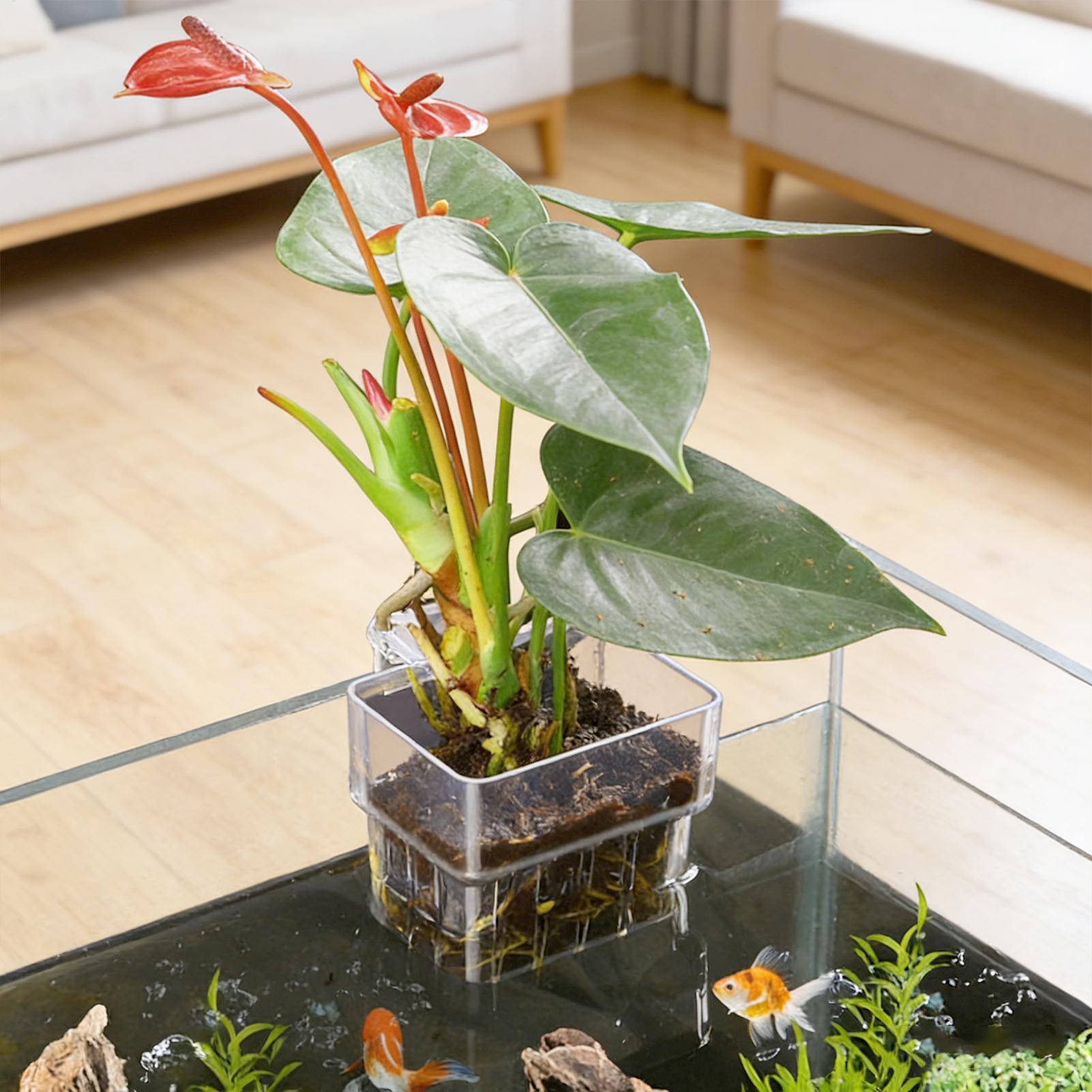 Aquarium Plant Holder - Aquariumplantenmand Transparante hangende decoraties voor de