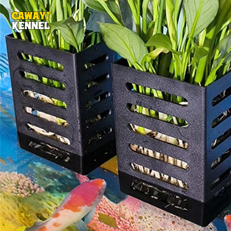 Aquarium Plants Live - Huisdier Aquarium Decoraties Aquarium Plant Stand