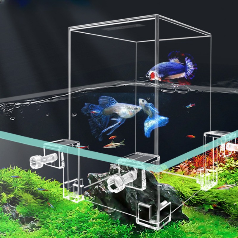 Plant Aquarium Pot - Creatieve Aquariumtanks Negatieve Druk Aquarium Ecologische