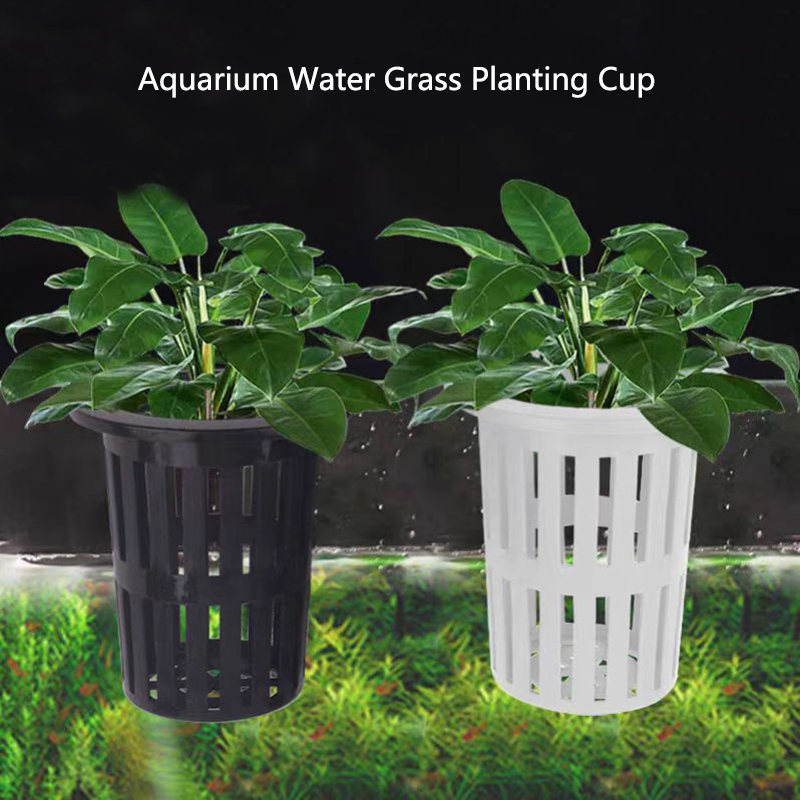 Aquarium Plants Live - 1/3 Stuks Aquarium Plant Mand Wandmontage