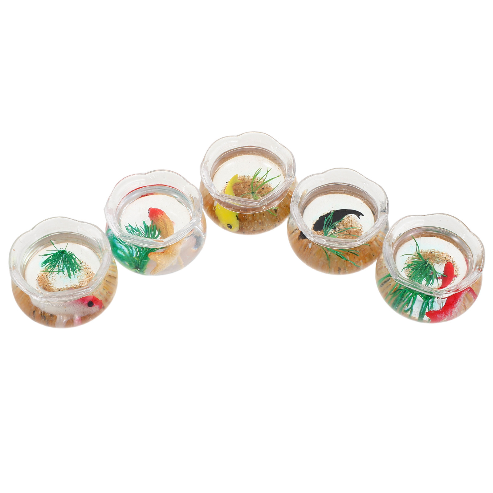 Planted Tank - 5-delige set met kleine koi-akwaria –