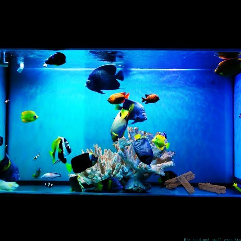 Aquarium Decoratie Boomstam Lo - Aquarium Plant Substrate recensie en prijs