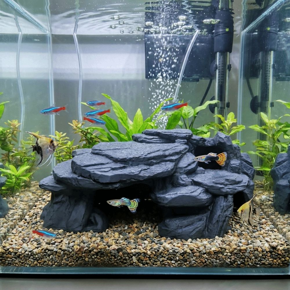 3D-geprinte visbakrotsornament - Aquarium Plants Live recensie en prijs