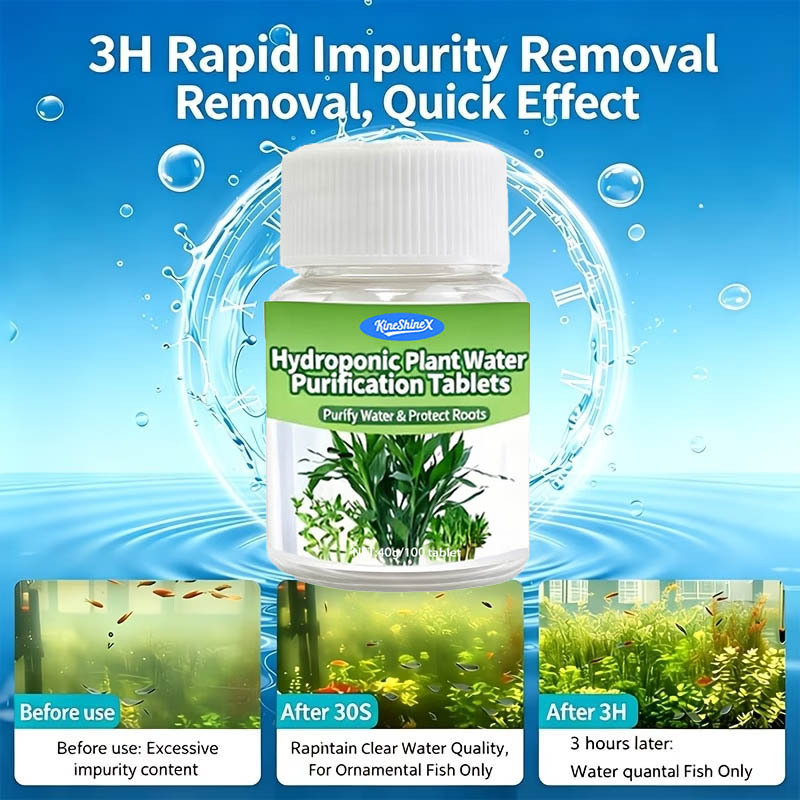 Hydroponische waterzuiveringst - Plant Aquarium Pot recensie en prijs