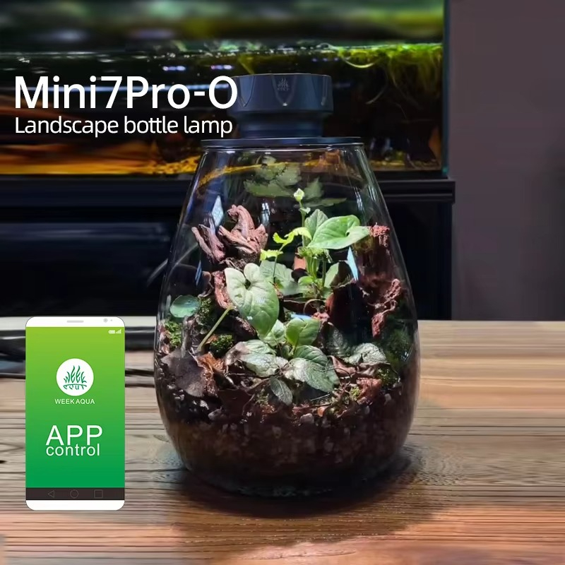 COB Microlandscape Plant Invul - Planted Tank recensie en prijs