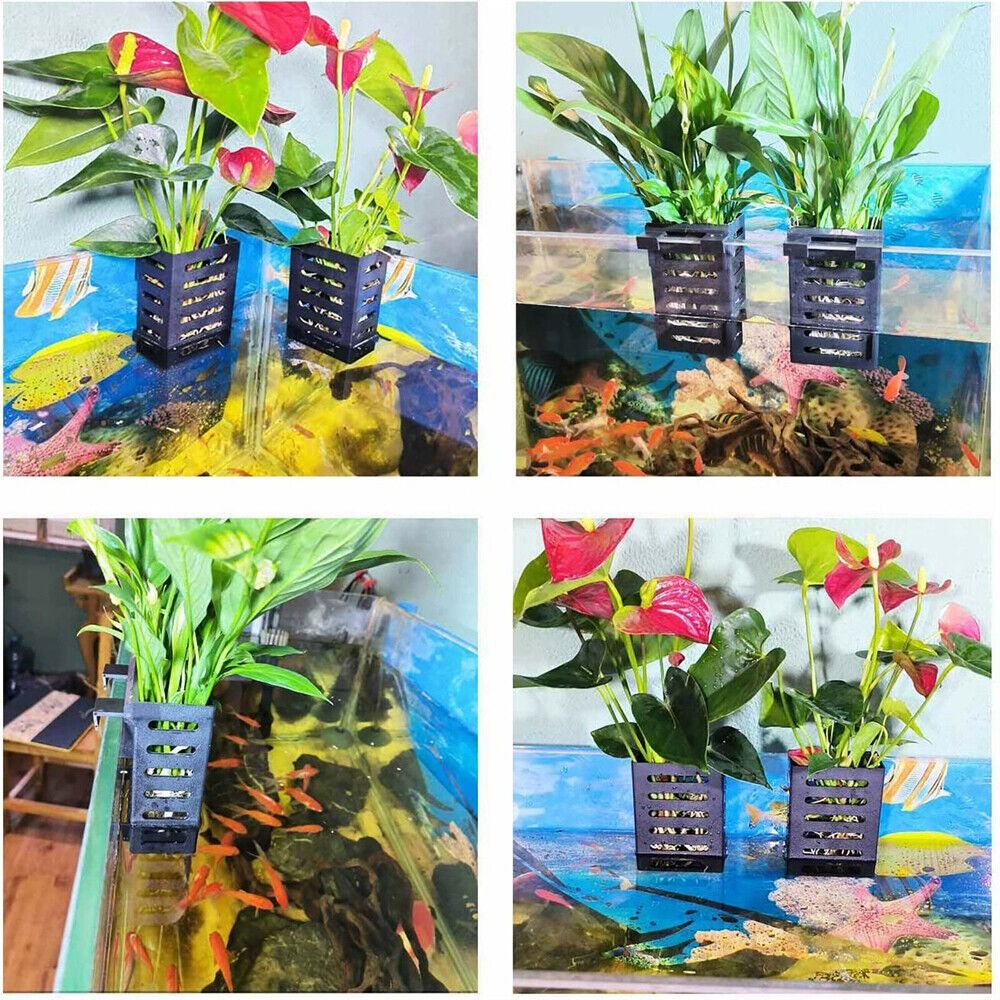 Aquarium Fish Tank Plantenhoud - Aquarium Plant Holder recensie en prijs