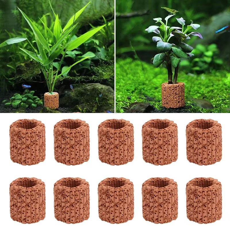 Aquatische Plant Vaste Ring vo - Aquarium Plants Live recensie en prijs