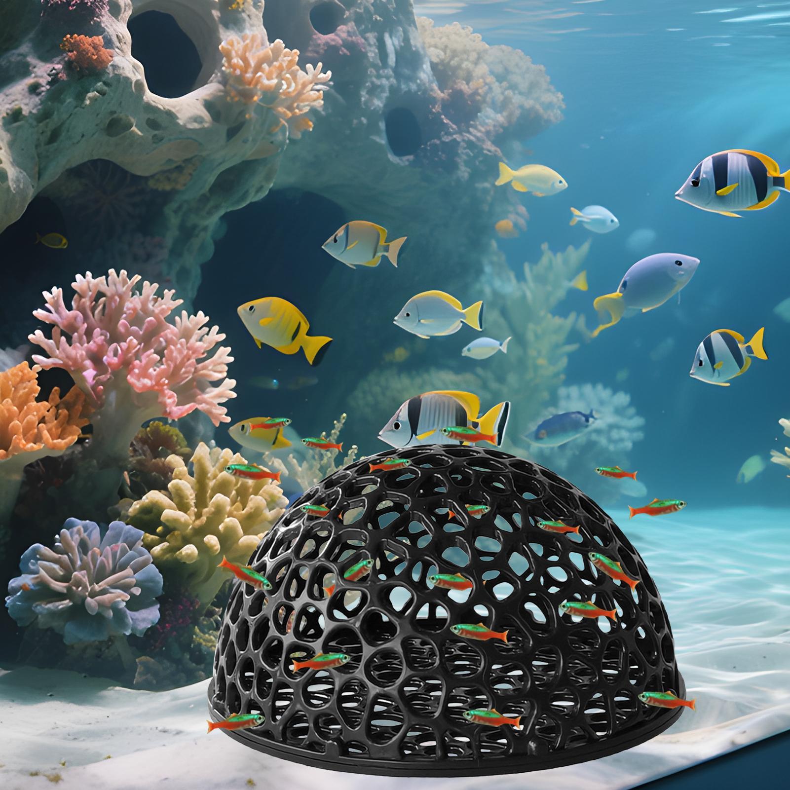 Aquarium Verbergen Grot Onderd - Aquarium Plant Holder recensie en prijs