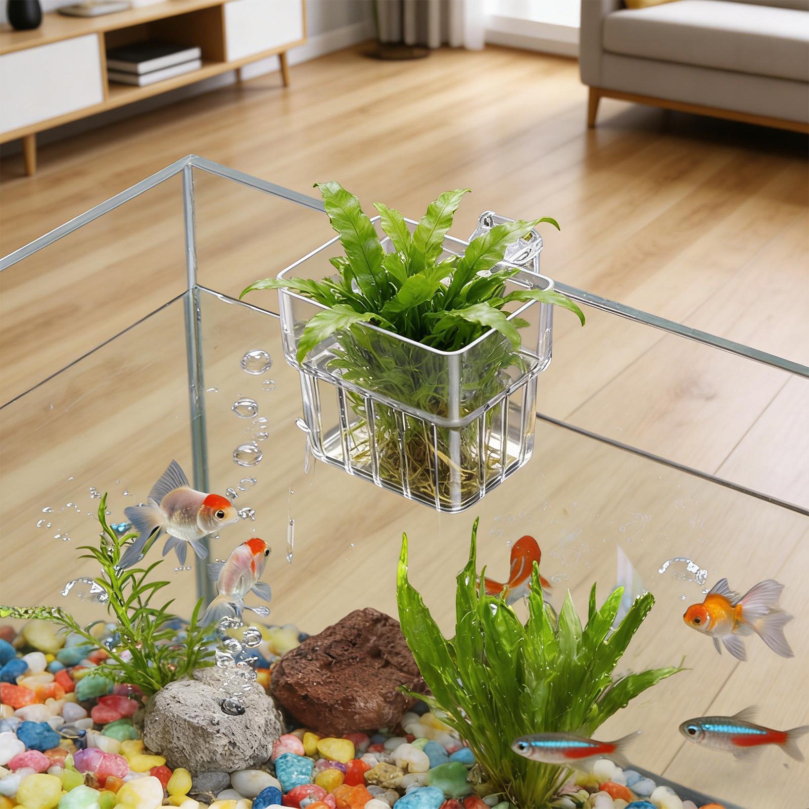 Visbak Vaste mand Wandgemontee - Aquarium Plant Holder recensie en prijs