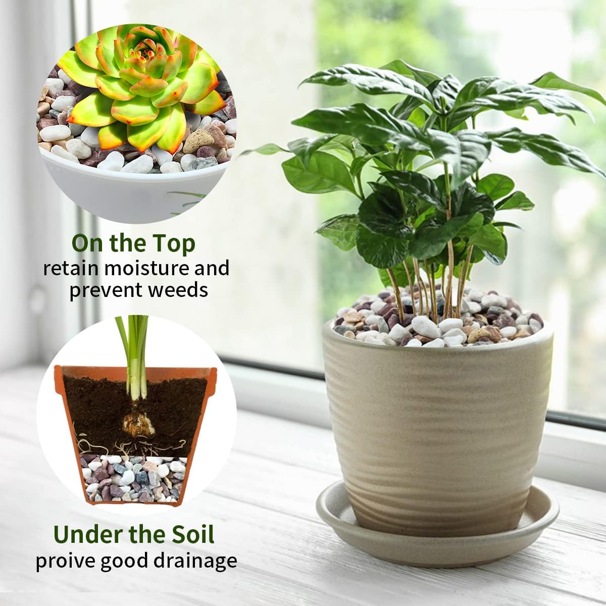 Gemengde kleuren grindstenen,  - Plant Aquarium Pot recensie en prijs