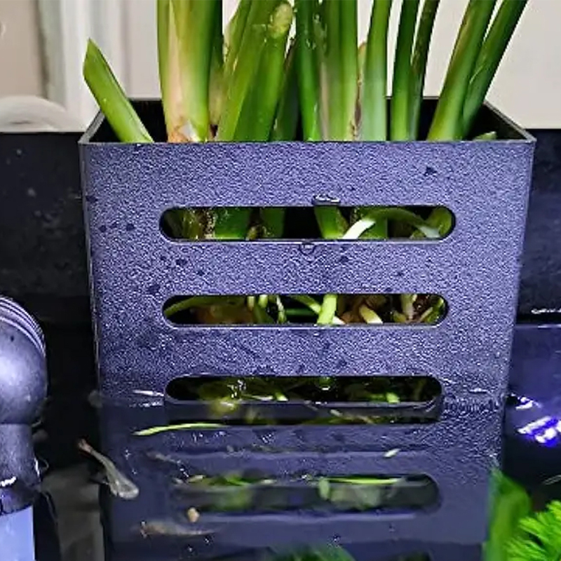 Huisdier Aquarium Decoraties A - Aquarium Plants Live recensie en prijs