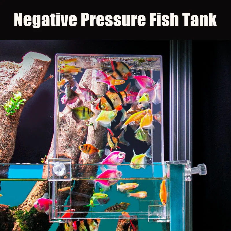 Creatieve Aquariumtanks Negati - Plant Aquarium Pot recensie en prijs