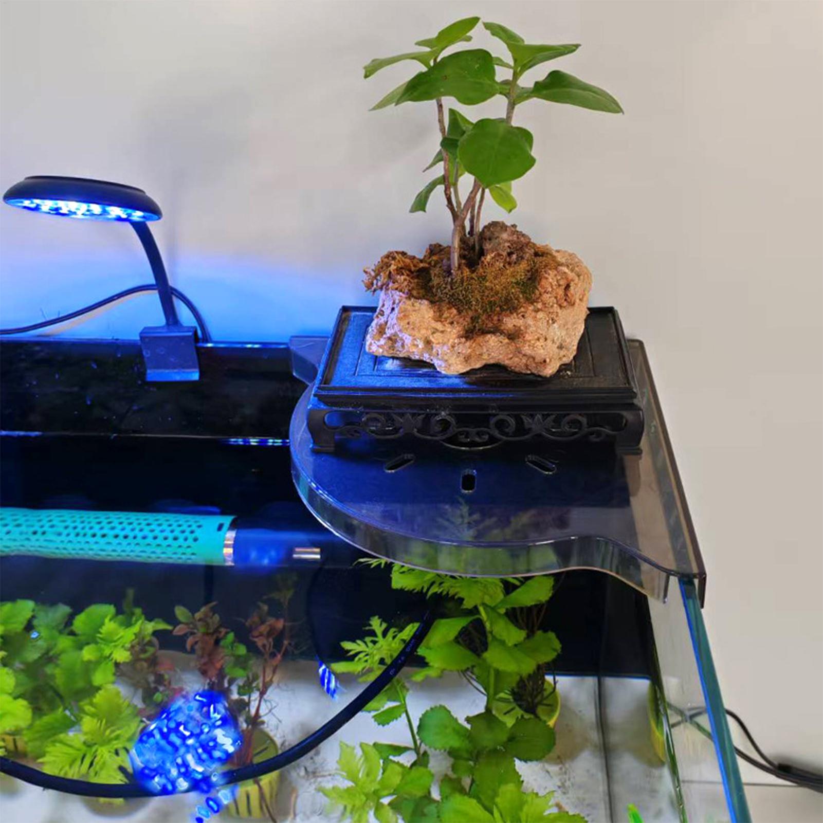 Driehoekig aquarium hoekopberg - Aquarium Plants Live recensie en prijs