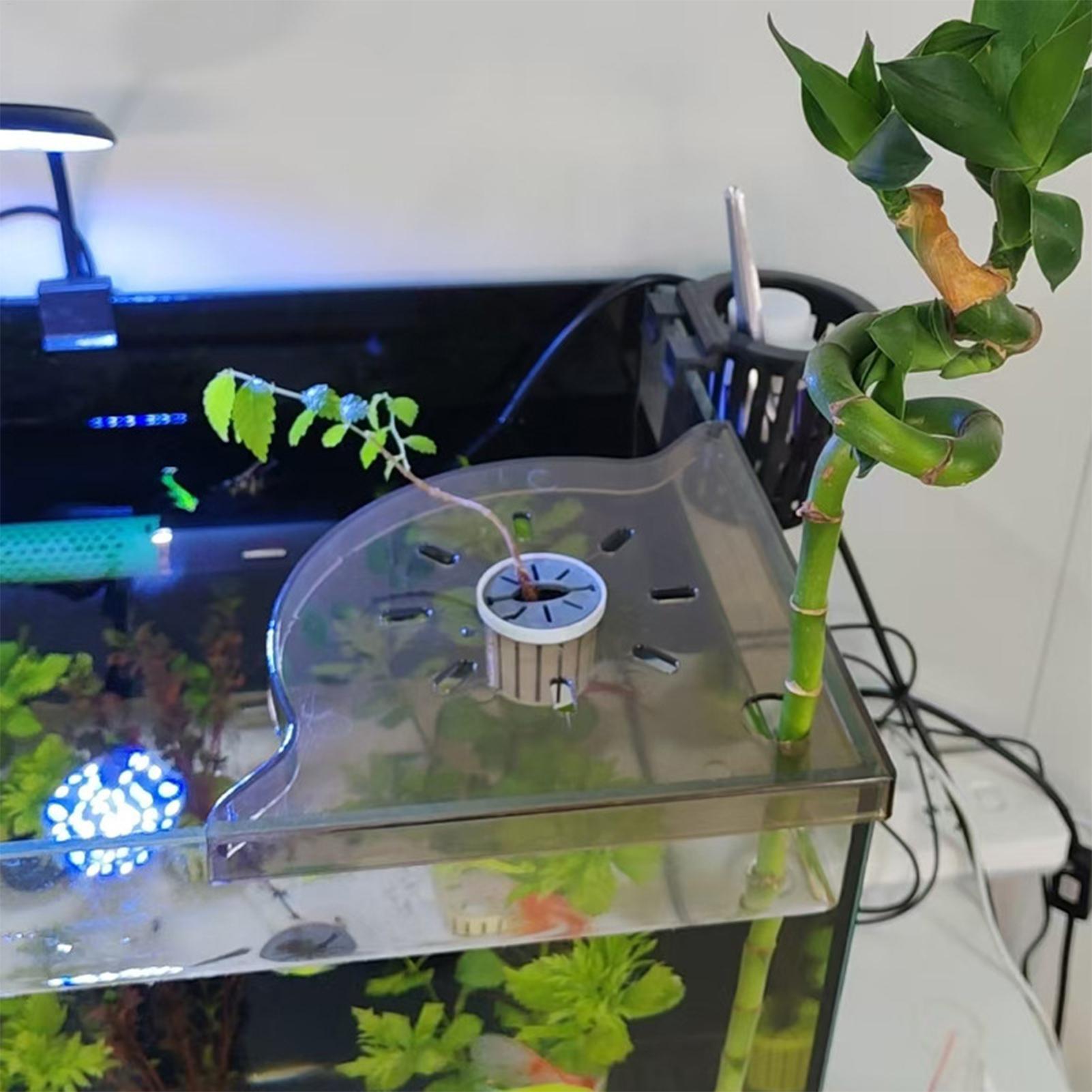 Driehoekig aquarium hoekopberg - Aquarium Plants Live recensie en prijs