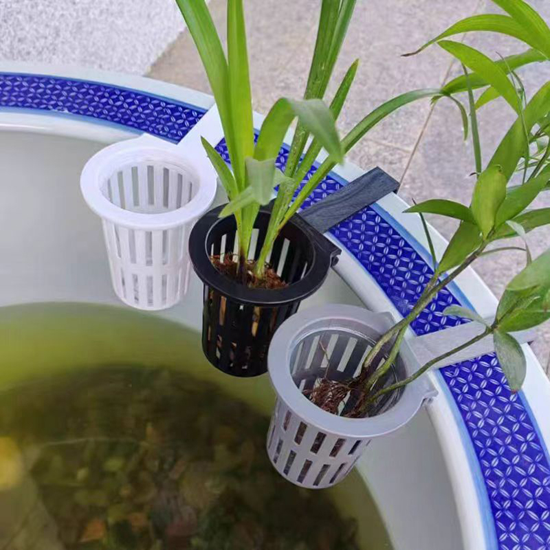1/3 Stuks Aquarium Plant Mand  - Aquarium Plants Live recensie en prijs