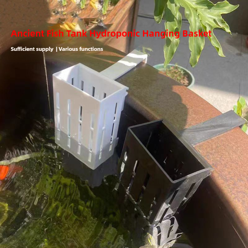 1/3 Stuks Aquarium Plant Mand  - Aquarium Plants Live recensie en prijs