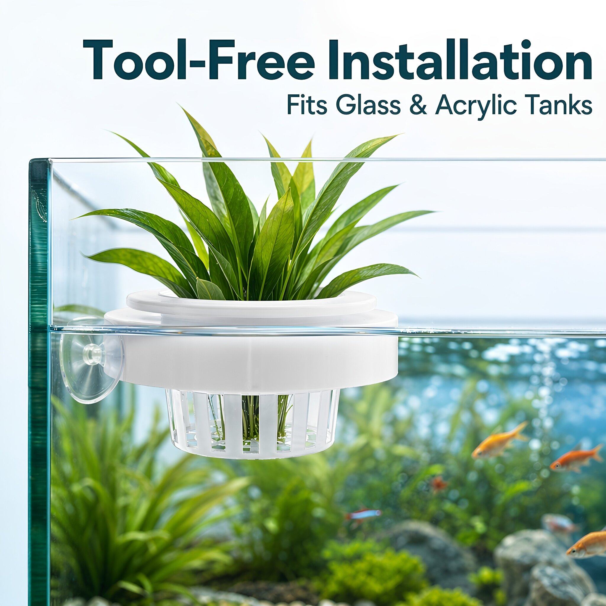 4 stuks drijvende plantenmand  - Planted Tank recensie en prijs