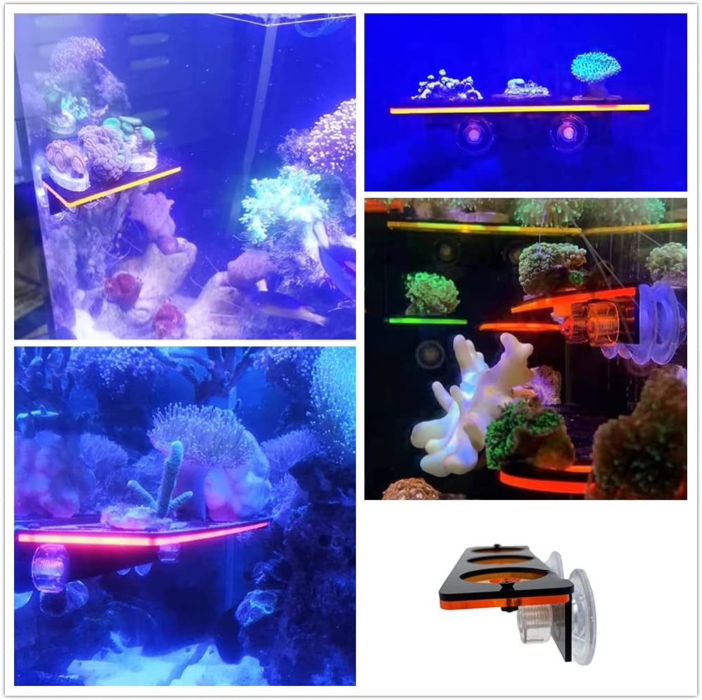 Fluorescerend Koraal Frag Plug - Aquarium Plant Holder recensie en prijs