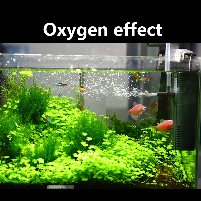 SUNSUN Mini Nano 111B 311B 611 - Aquarium Planted Tank Filter recensie en prijs