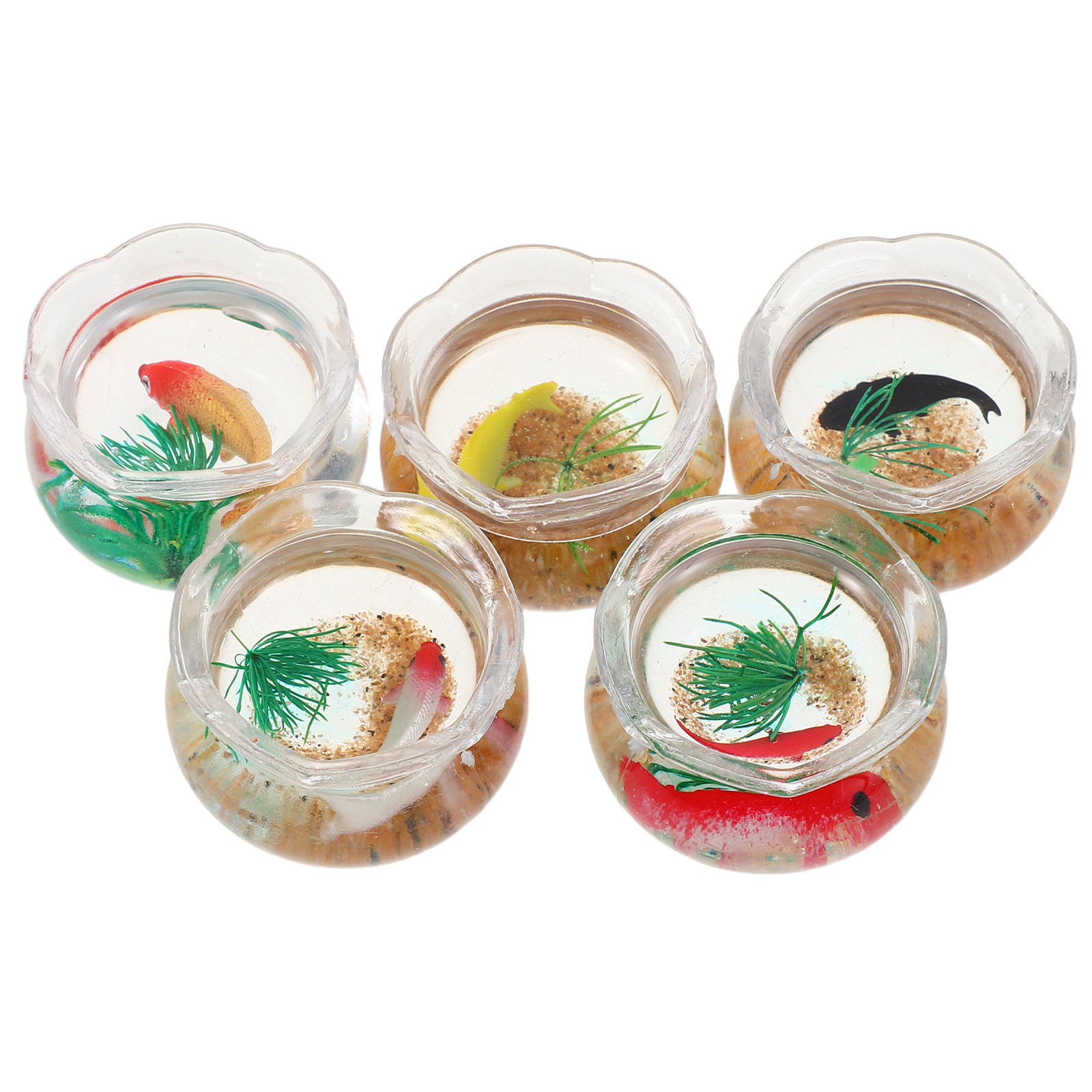 5-delige set met kleine koi-ak - Planted Tank recensie en prijs